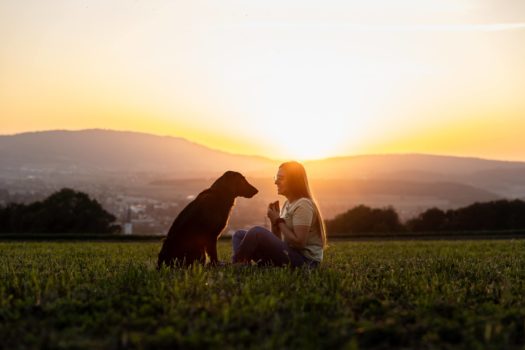Ella - Life Coach bei Sonnenuntergang